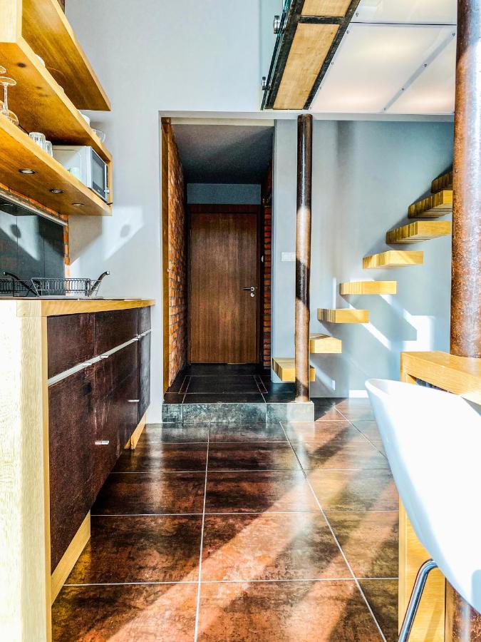 קרקוב Zwierzyniecka Lofts With Patio, Cracow City Heart Old Town מראה חיצוני תמונה